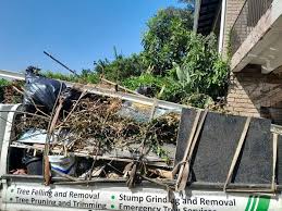 Best Demolition Debris Removal  in Mertzon, TX