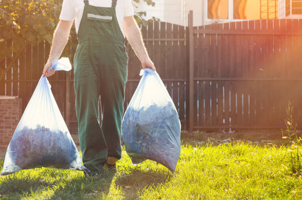 Best Carpet Removal and Disposal  in Mertzon, TX